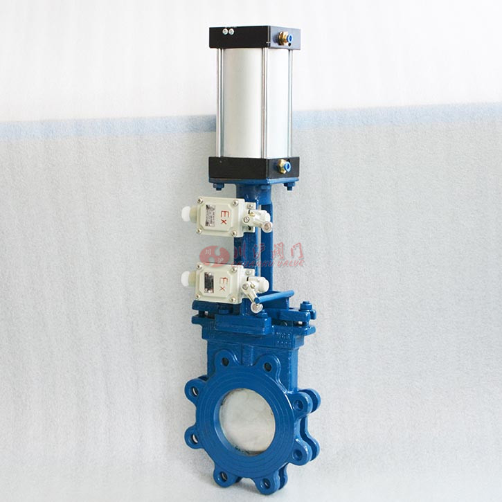 氣動刀閘閥實(shí)物圖